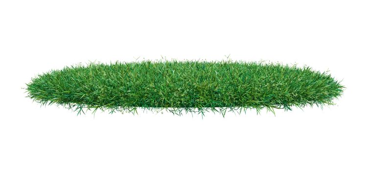 Fresh green grass on white background. 3D illustration. Empty space for your product or text