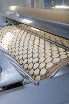 Production of cookies on conveyor