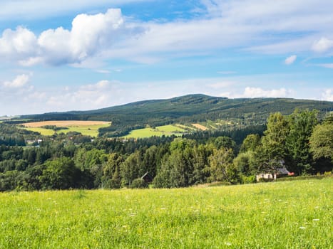 Middle European countryside, Czech republic, Jeseniky in summer, meadow under the Mala Destna mountain