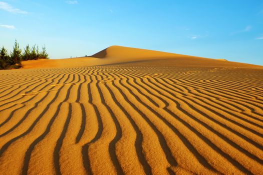 Wonderful landscape for Vietnam travel, abstract with shape of Bau Trang sand hill under sky in summer, a beautiful place for tourism, sand desert so amazing