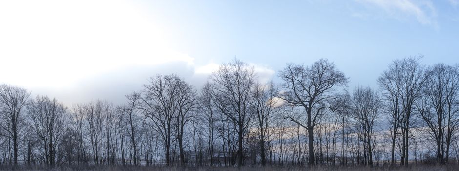 blue sky, natural clouds, nature series