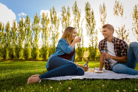 Shot of a beautiful couple on a picnic and making a toast