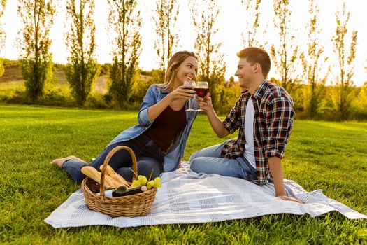 Shot of a happy couple enjoying a day in the park and making a toast