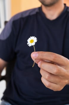 Man giving a present with a little daisy flower. Focus on flower. Close up.