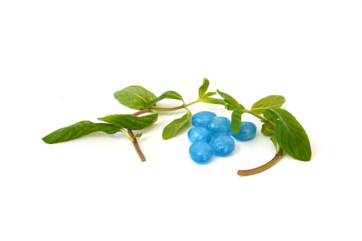 menthol mint-flavored candies