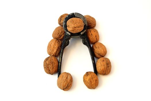 walnut and walnut cracking tool