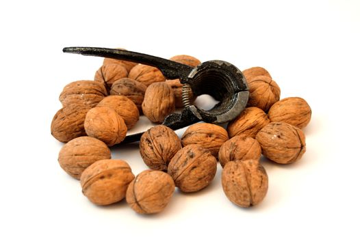 shelled walnuts, walnut and walnut cracking tool