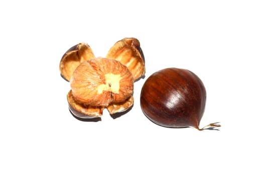 Chestnut pictures with natural crust and without crust