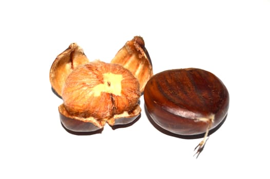 Chestnut pictures with natural crust and without crust