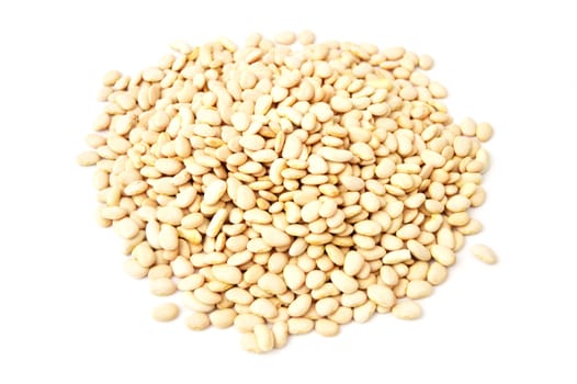 Natural and organic edible dry bean pictures