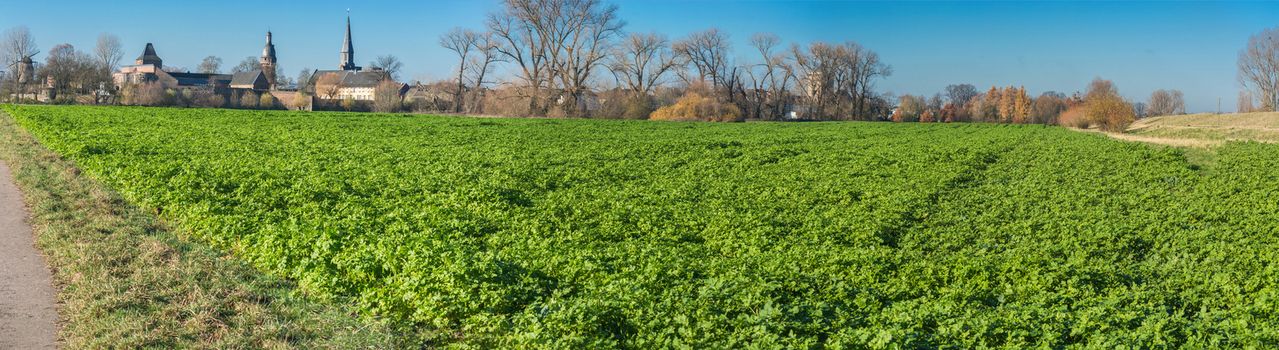 Panoramic view of an Agra field in winter. Cultivated with winter vegetables.