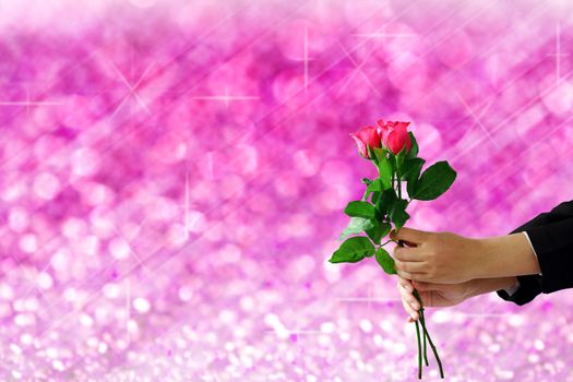 woman hands holding rose flower on pink lights festive blurry and bokeh twinkled bright background. 