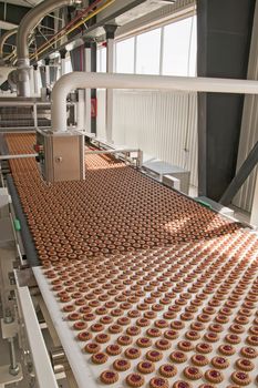 Production of cookies on conveyor