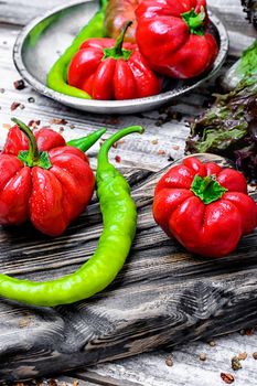 Fresh peppers and bell peppers from summer harvest