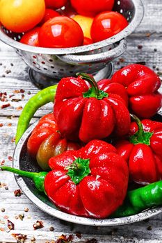 Fresh peppers and bell peppers from summer harvest