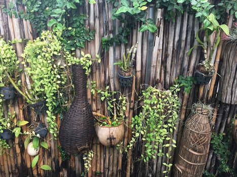 Wall bamboo fence and tropical plants hanging at the backyard .