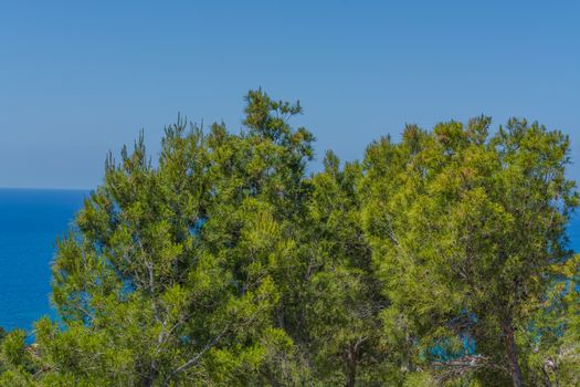 Panorama of the bay Paguera photographed from the mountain in Costa de la Calma.