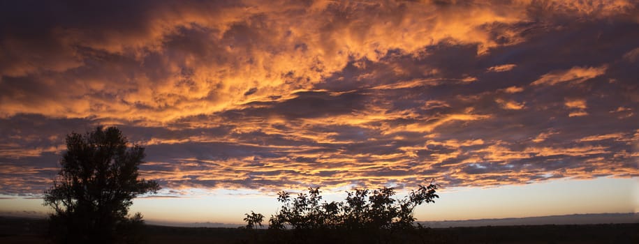 panoramic picture.Dramatic sunset like fire in the sky with golden clouds