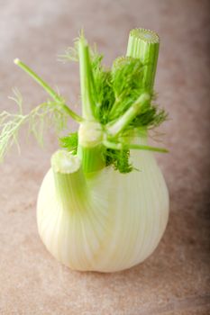Fresh vegetarian food. Fennel on a wooden surface.