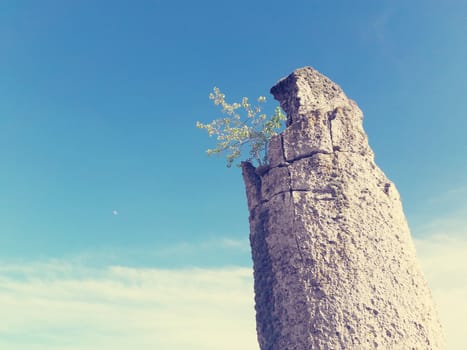 A small tree on top of a natural stone column