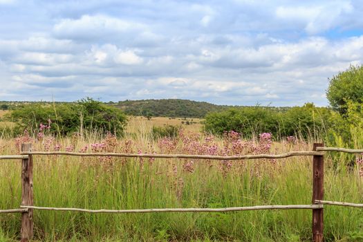 landscape with wooden fence