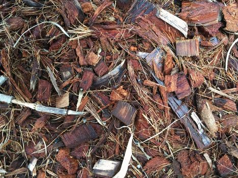 Close up of spathe fiber of coconut. Peels of coconut husk.