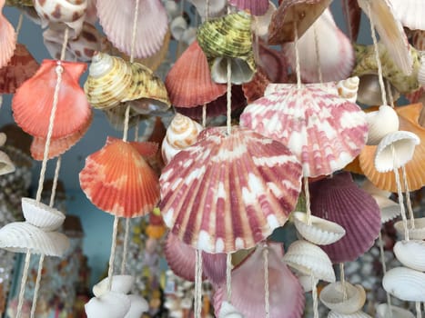 Beautiful seashells hanging mobile on tropical sea shop.