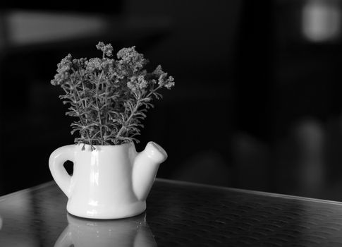 BLACK AND WHITE PHOTO OF SMALL PLANT POTTED IN WATERING POT ON TABLETOP