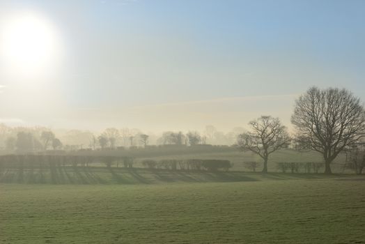 Picturesque winter sunrise over the field