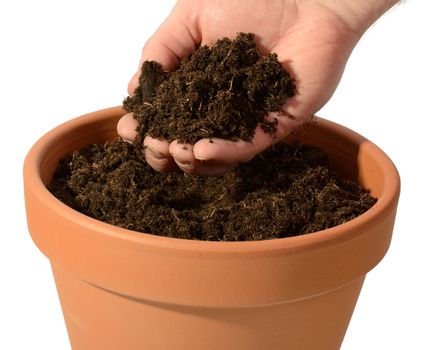 hand holding fresh dirt out of a pot isolated on a white background