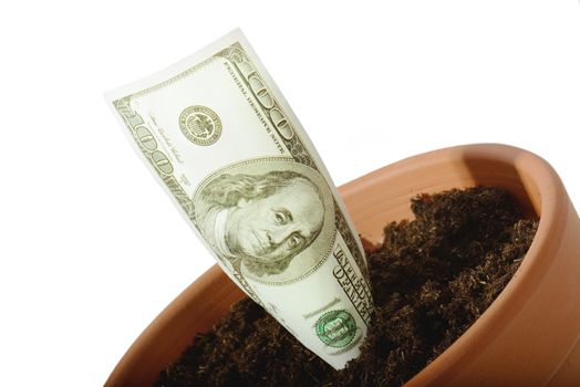 clay flower pot with US dollar on white background for concept of money growth