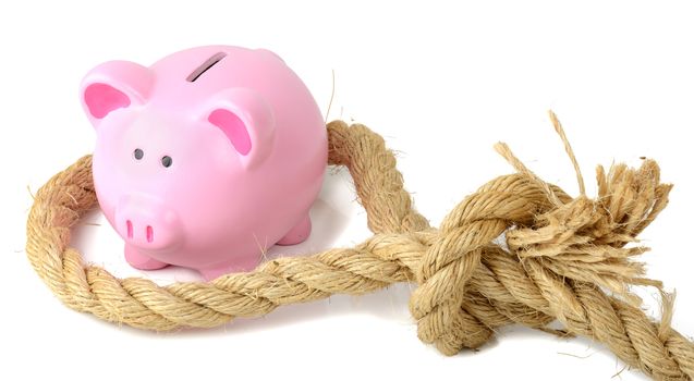 piggy bank caught in a finacial trap