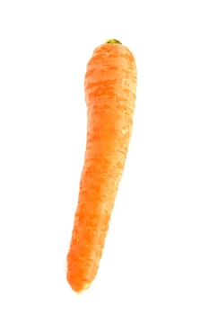 Newest carrot pictures on white ground 2017
