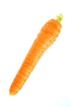 Newest carrot pictures on white ground 2017