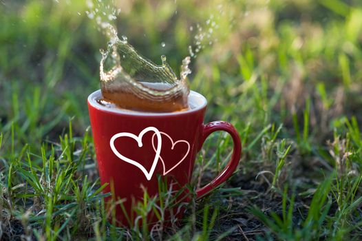 cup of tea standing on the grass in the park.