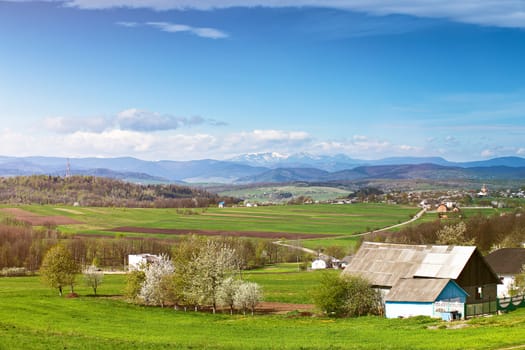 Spring fields and orchard blossom on foothills. Sunny green spring landscape. Spring fields and blooming trees. Village and town behind foothills