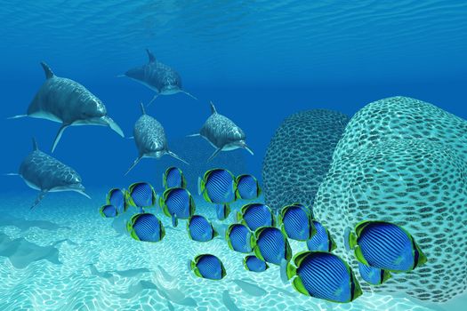 A pod of Bottlenose dolphins chase after a school of Black-backed butterflyfish on a coral reef in tropical ocean waters.