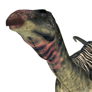 Lurdusaurus was a herbivorous ornithopod iguanodont dinosaur that lived in Niger in the Cretaceous Period.