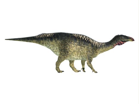 Lurdusaurus was a herbivorous ornithopod iguanodont dinosaur that lived in Niger in the Cretaceous Period.