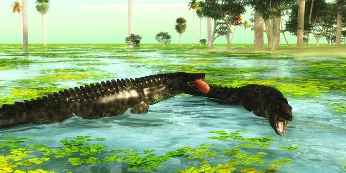 Uberabasuchus reptiles catch fish in a tropical region of Brazil in the Cretaceous Period.