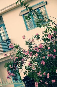 Beautiful fence of a home at Dalat, Vietnam, Climbing roses trellis front of the house, bunch of pink flower with green leaf from rosebush make nice view. Da Lat is city of flower for Viet Nam tourism