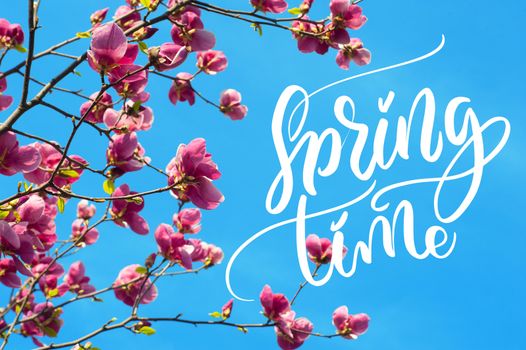 image of blossoming magnolia flowers in spring time and words Spring time. Calligraphy lettering.