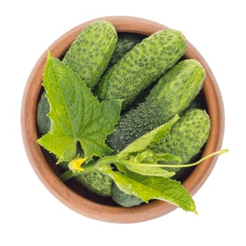 Tasty green cucumbers in wooden bowl, isolated on white. Top view