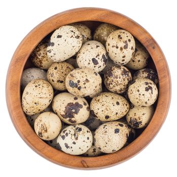 quail eggs in wooden bowl isolated on white background cutout. Top view.