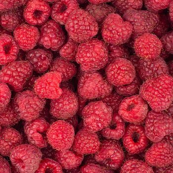 Fresh raspberries background closeup photo. Top view.