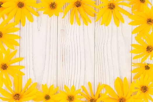 Yellow wild flower on white old wooden table. Top view.