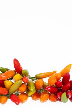 Composition of colorful decoration peppers isolated on white background, place for text