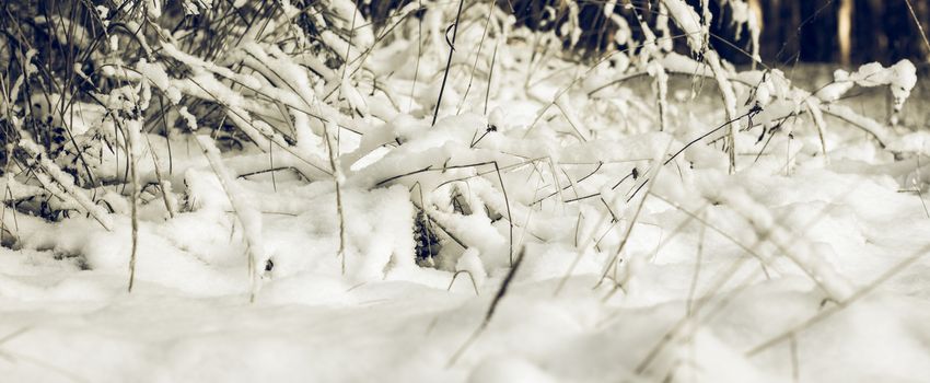 Abstract Winter background, Winter Outdoor Scene, Happy New Year and Merry Christmas Background for a Greeting or Message about Promotions and Sales, for Social Media, Posters, Email, Print, Ads