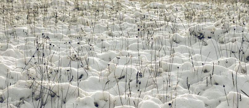 Abstract Winter background, Winter Outdoor Scene, Happy New Year and Merry Christmas Background for a Greeting or Message about Promotions and Sales, for Social Media, Posters, Email, Print, Ads