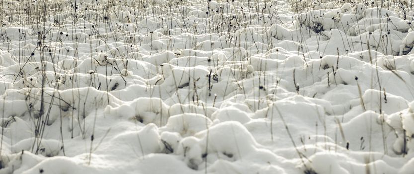 Abstract Winter background, Winter Outdoor Scene, Happy New Year and Merry Christmas Background for a Greeting or Message about Promotions and Sales, for Social Media, Posters, Email, Print, Ads